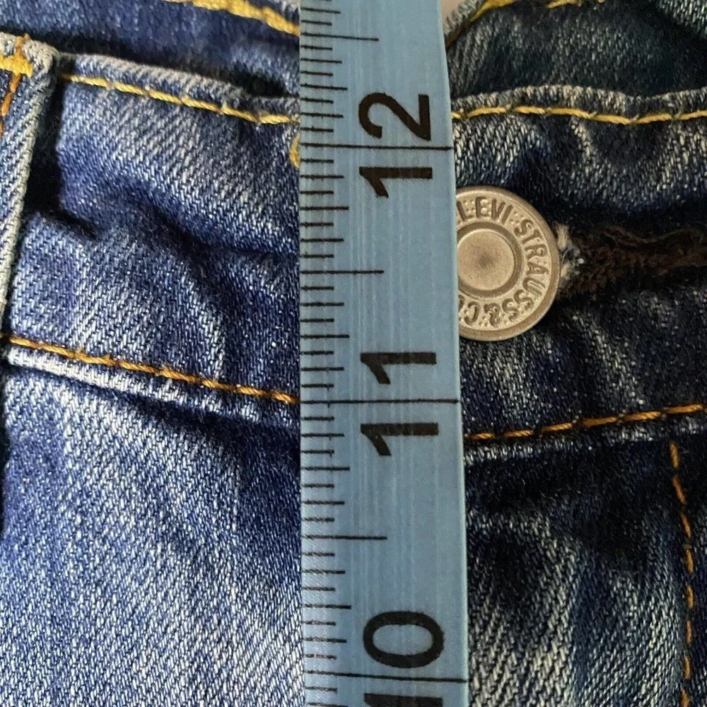 Levis levis 569